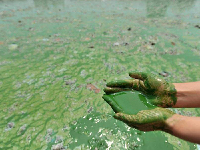 工業(yè)廢水檢測 工業(yè)廢水檢測