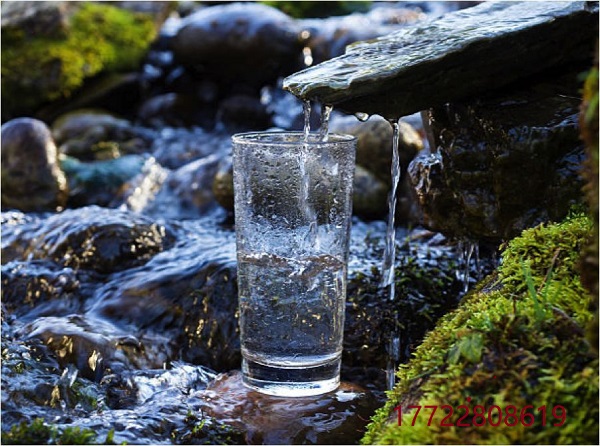 1700463611967535.jpeg 1700463611967535.jpeg